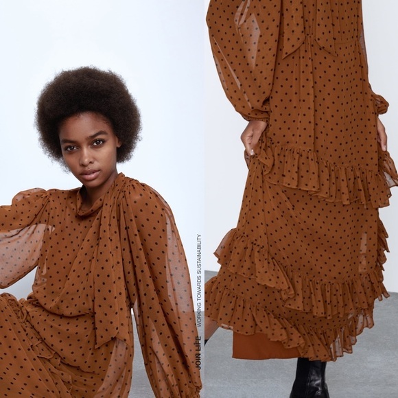 ZARA BNWT Polka Dot Dress with Ruffles - Picture 6 of 9